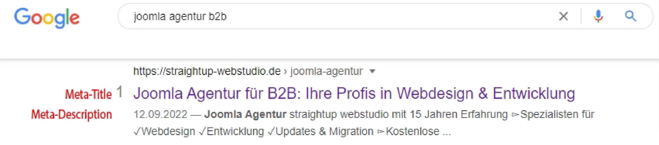 Google-Snippet zum Suchbegriff "joomla agentur b2b" von straightup-webstudio.de